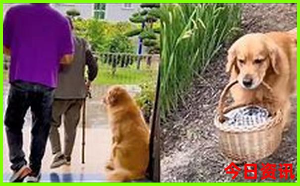 北京中医馆排名前十